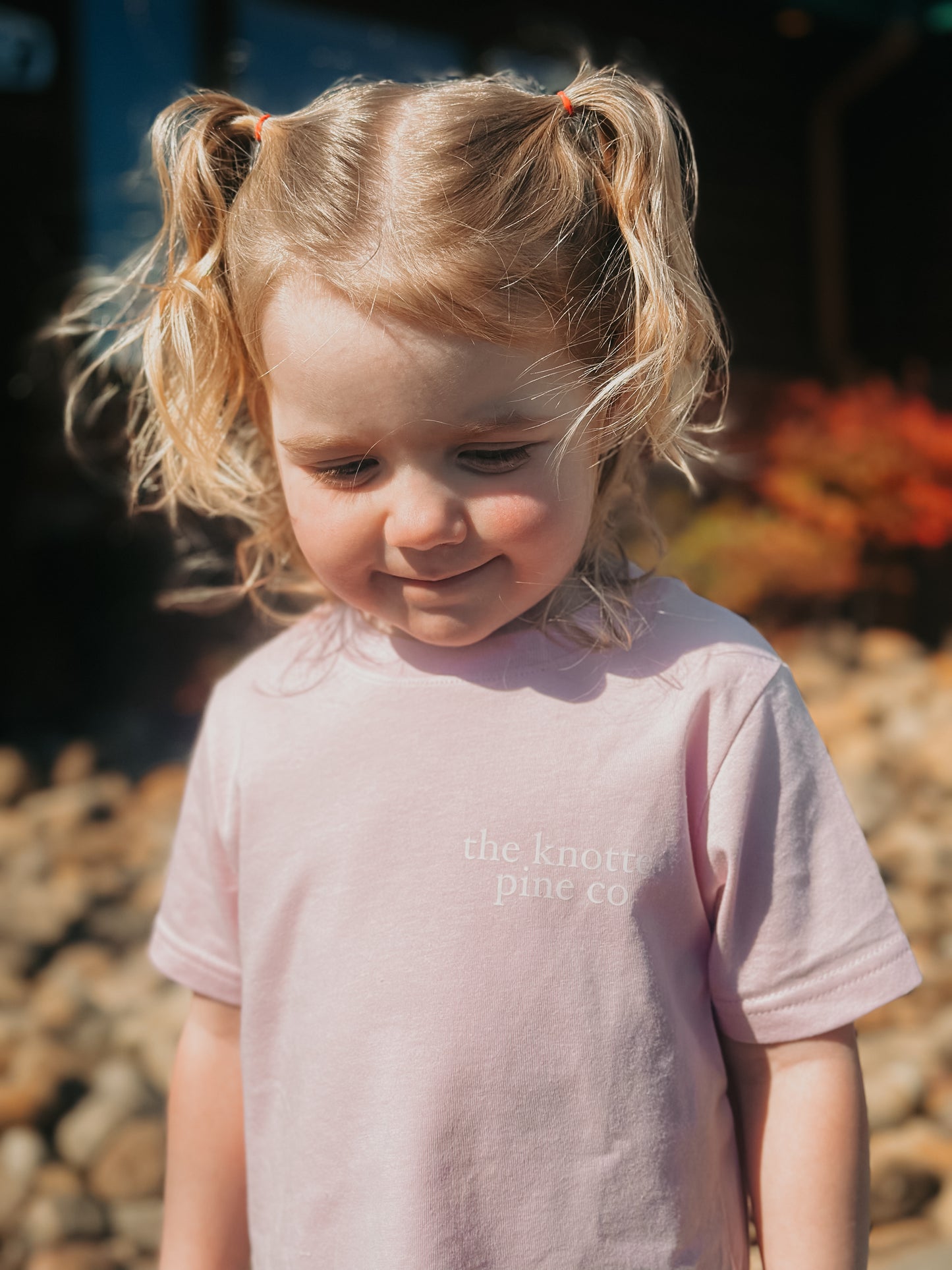 farm fresh strawberries tee