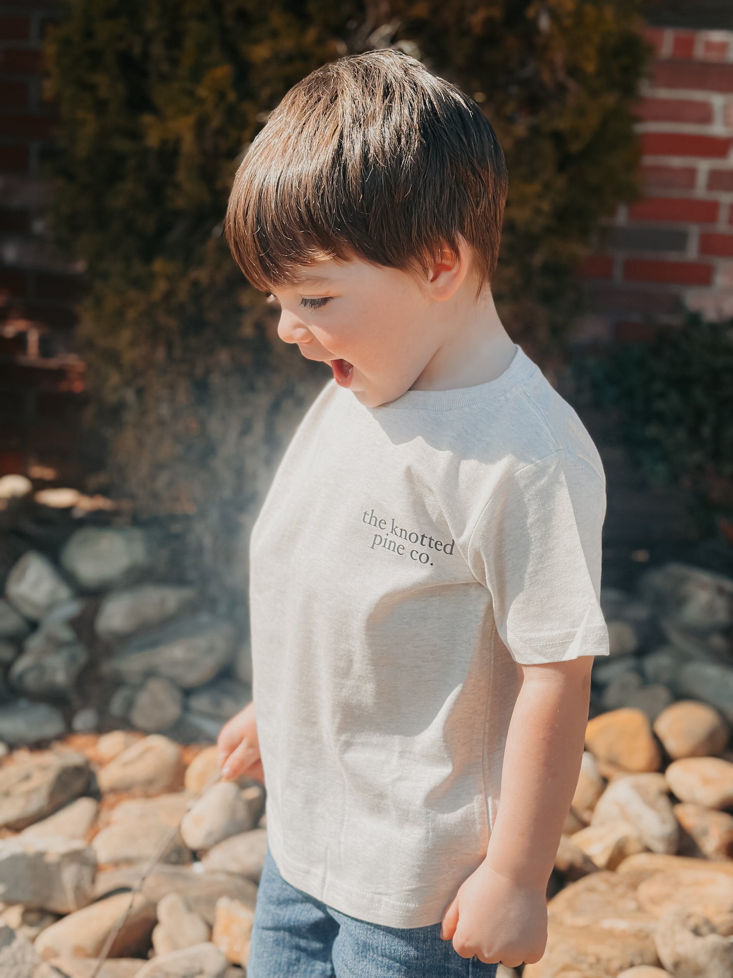 lab & ball cap tee